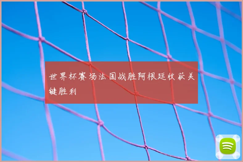 世界杯赛场法国战胜阿根廷收获关键胜利